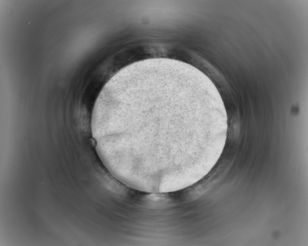 X0000100960477200807221149