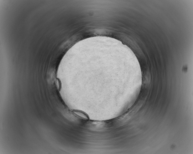 X0000100960478200807221149