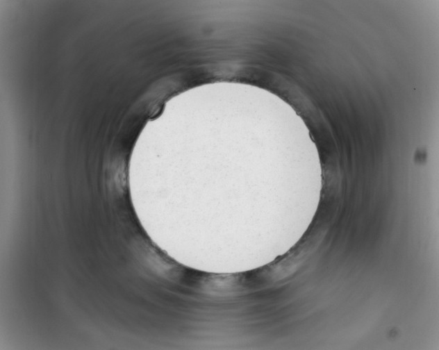 X0000100960479200807221149