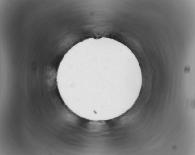 X0000100960480200807221149