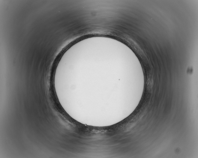 X0000100960484200807221148