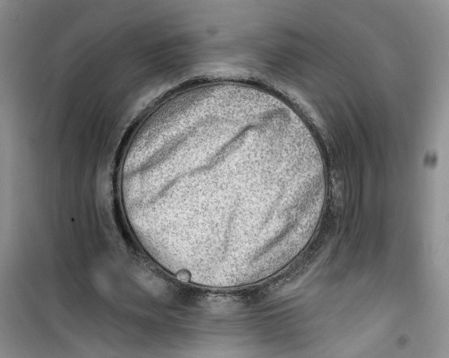 X0000100960487200807221148