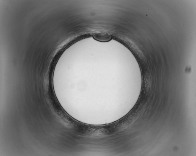 X0000100960488200807221148