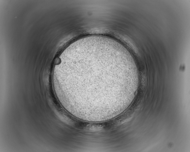 X0000100960491200807221148