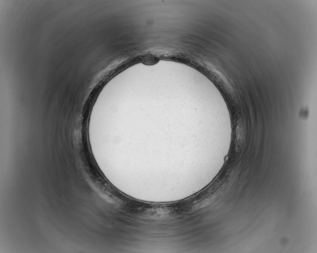 X0000100960492200807221148