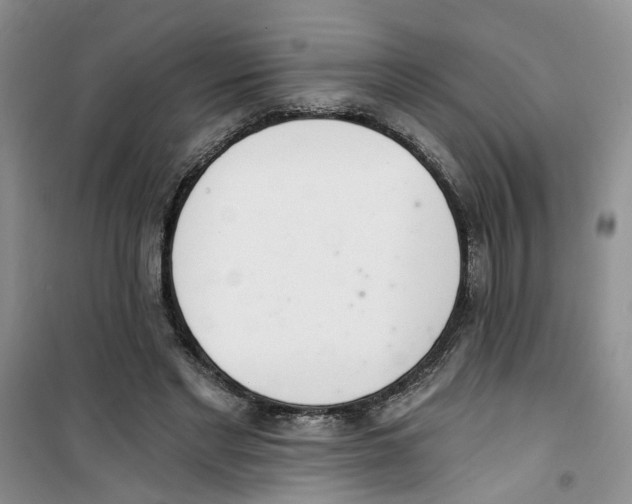 X0000100960493200807221148