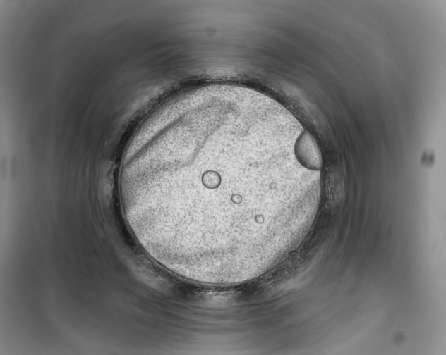 X0000100960495200807221148