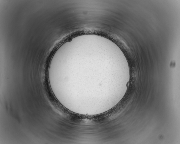 X0000100960496200807221148