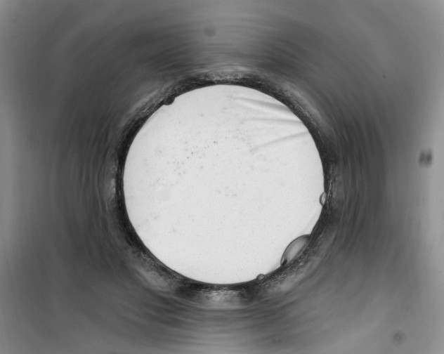 X0000100960501200807221148