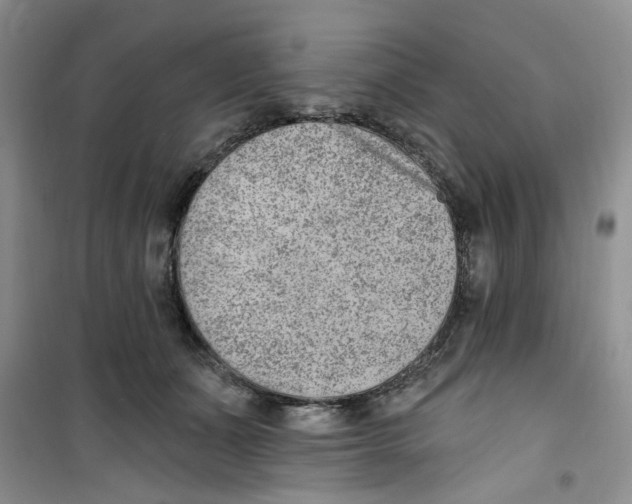 X0000100960511200807221148