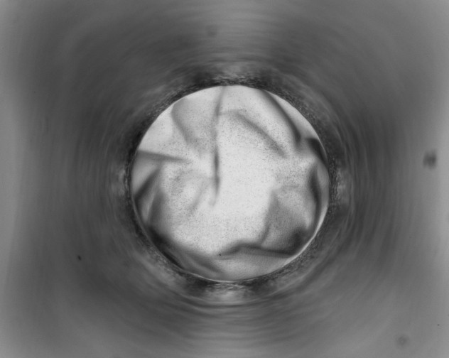 X0000100960514200807221148