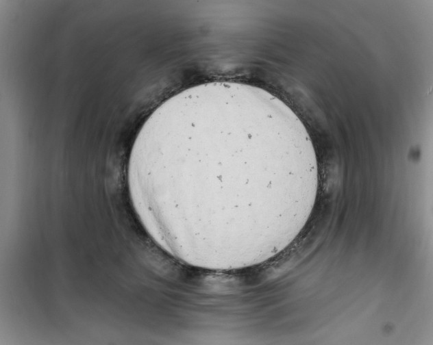 X0000100960515200807221148