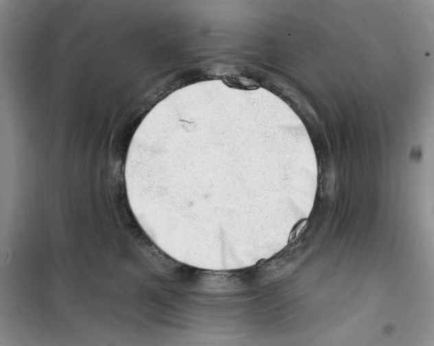 X0000100960521200807221148