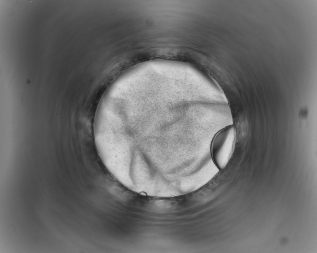 X0000100960522200807221148