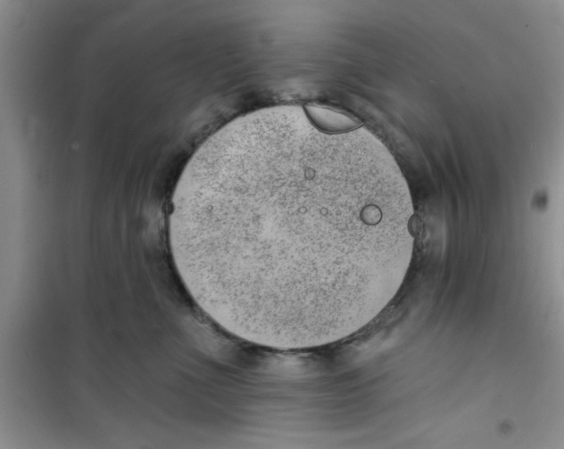 X0000100960523200807221148