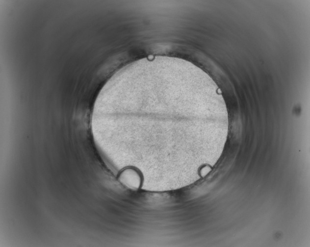 X0000100960525200807221148