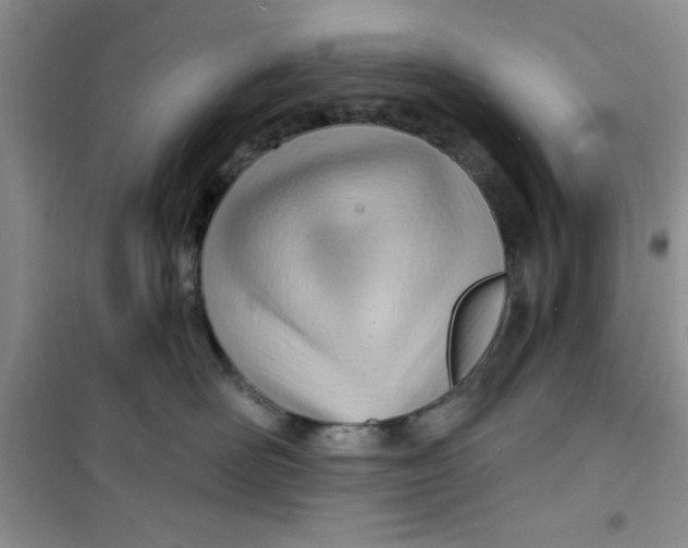 X0000100960526200807221148