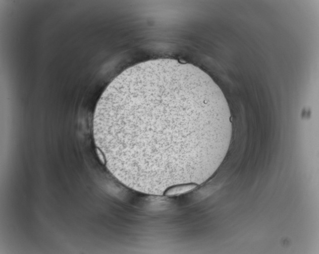 X0000100960528200807221148