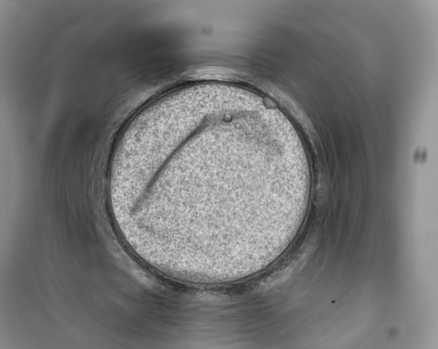 X0000100960529200807221147