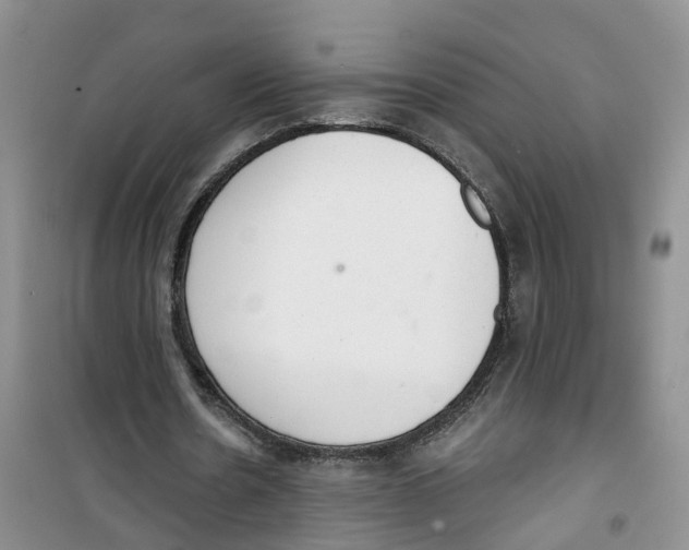 X0000100960530200807221147