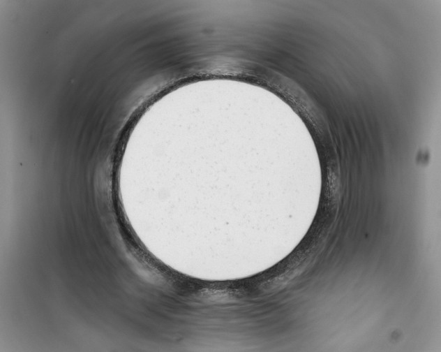 X0000100960534200807221147