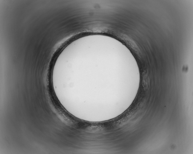 X0000100960536200807221147