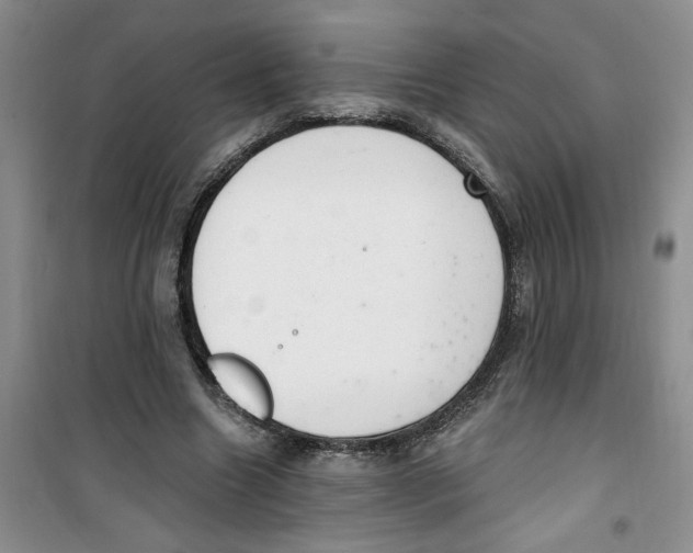 X0000100960538200807221147