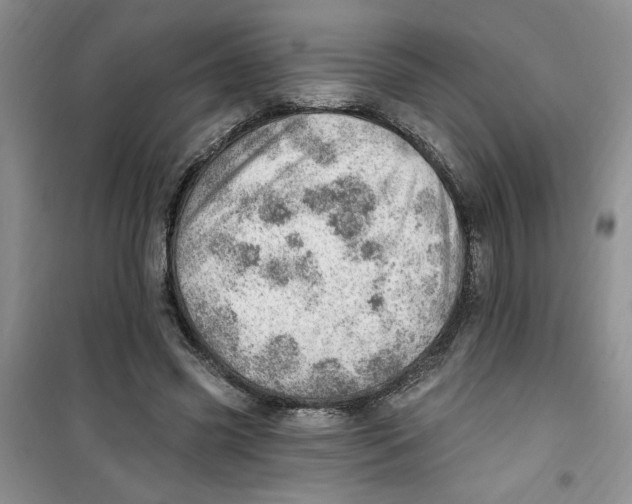 X0000100960541200807221147