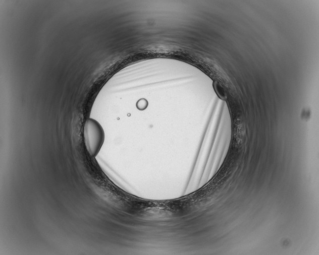 X0000100960544200807221147