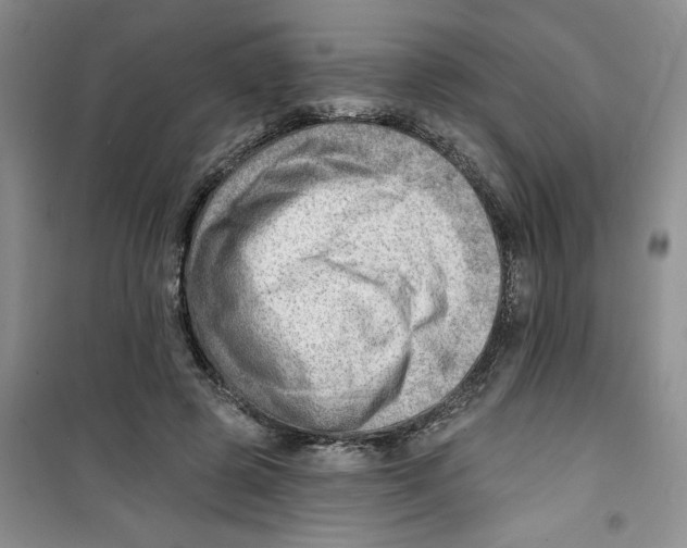 X0000100960545200807221147