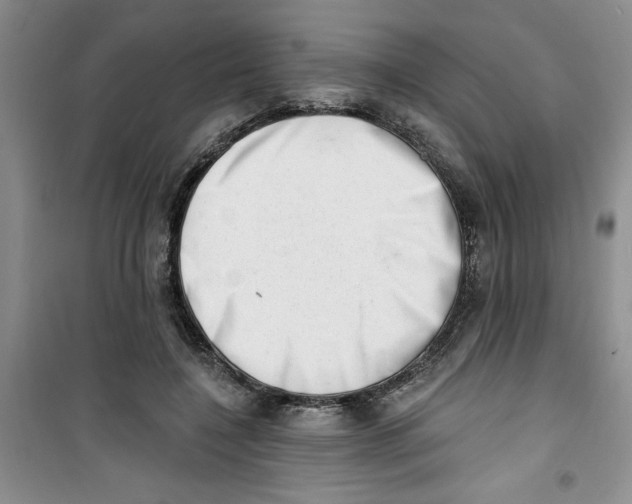 X0000100960548200807221147