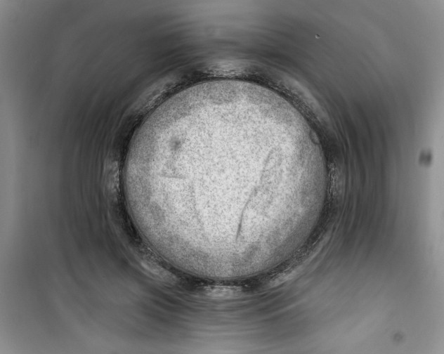 X0000100960549200807221147