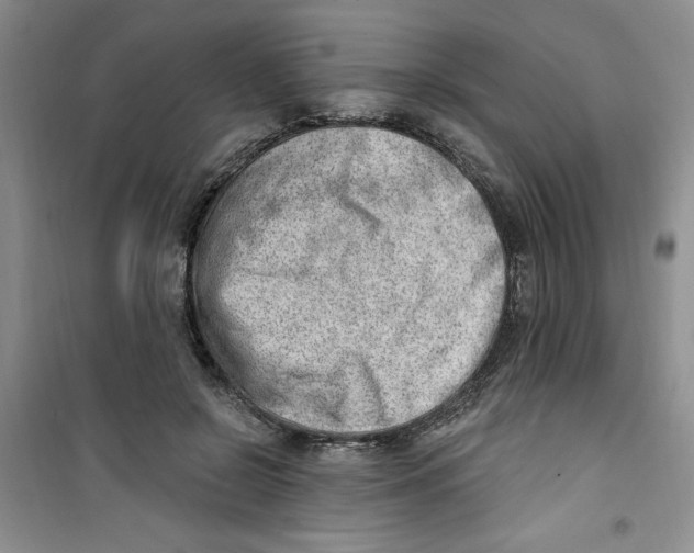 X0000100960550200807221147