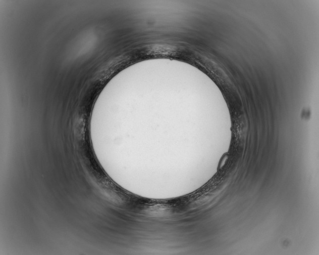 X0000100960551200807221147