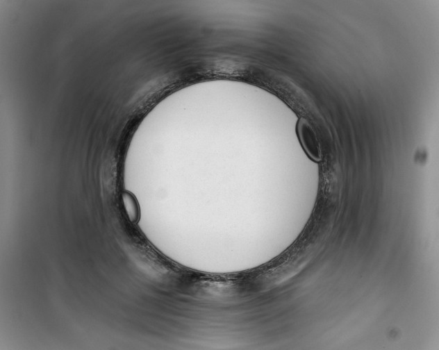 X0000100960552200807221147