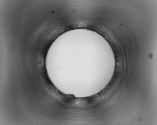 X0000100960555200807221147