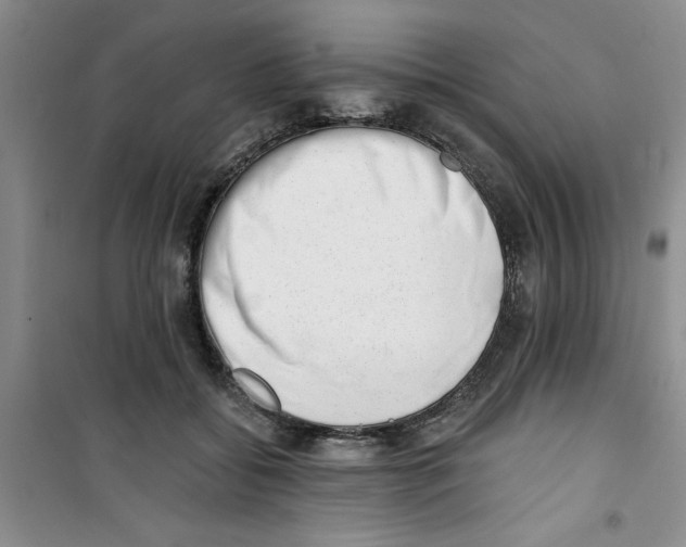 X0000100960556200807221147