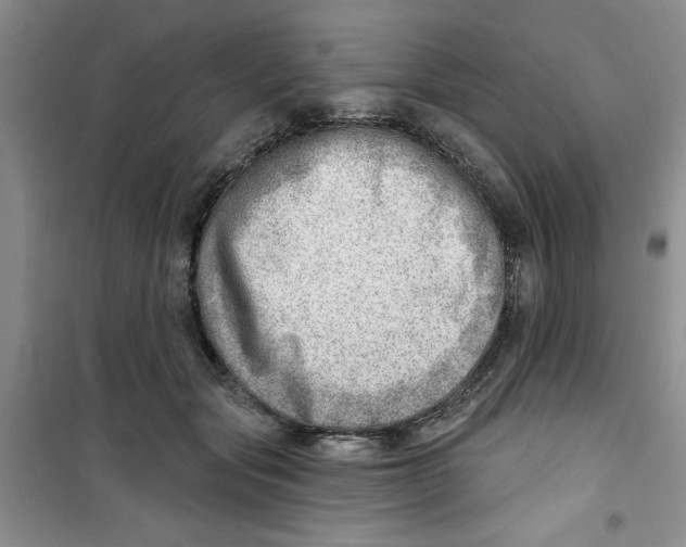 X0000100960557200807221147