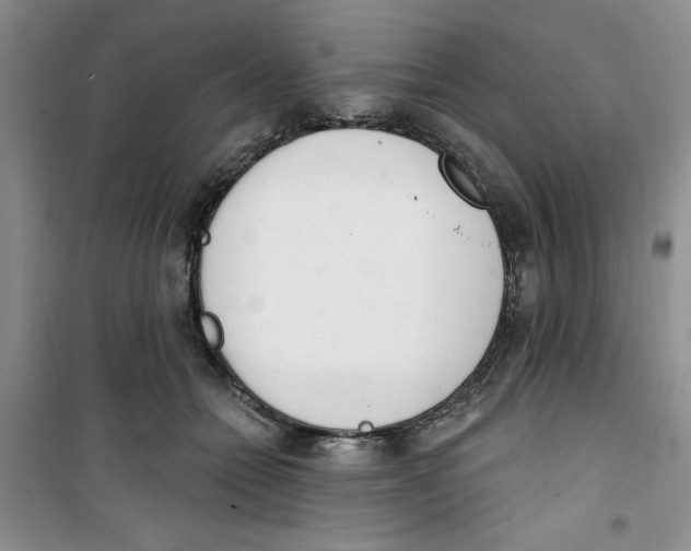 X0000100960558200807221147