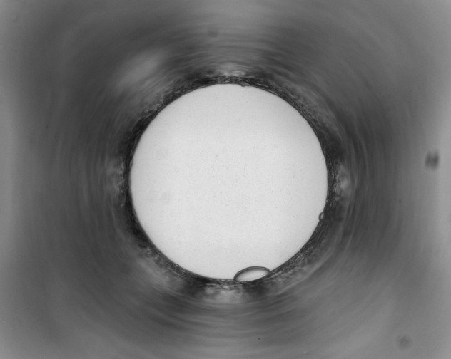 X0000100960559200807221147