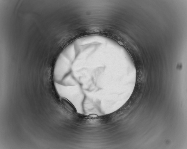 X0000100960560200807221147