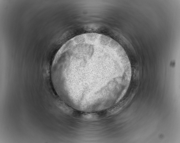 X0000100960561200807221147