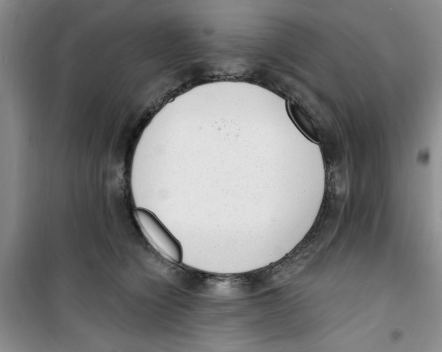 X0000100960564200807221148