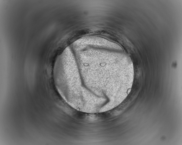 X0000100960565200807221148