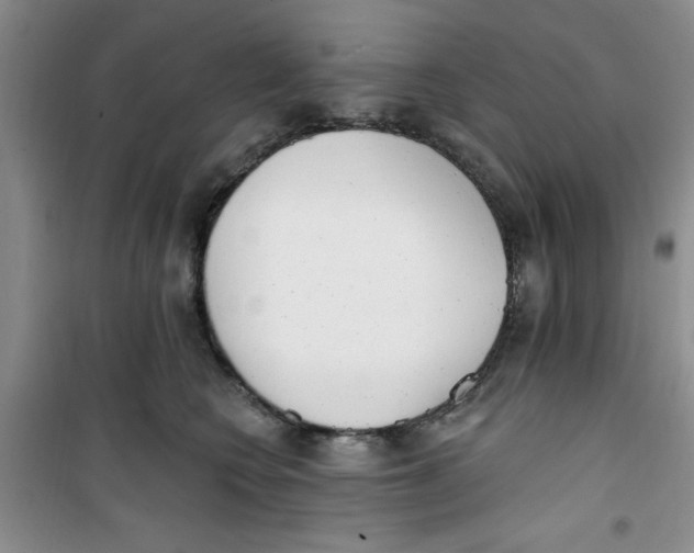 X0000100960566200807221148