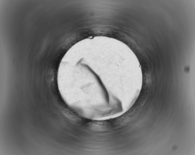 X0000100960567200807221148