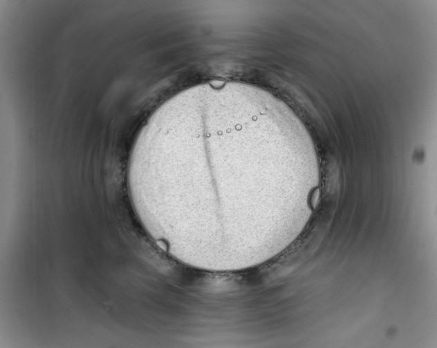 X0000100960569200807221148