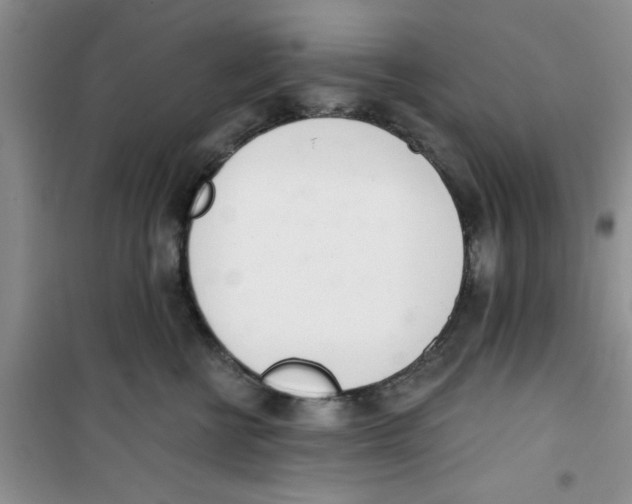 X0000100960570200807221148