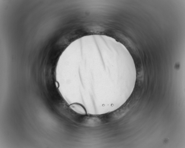 X0000100960572200807221148