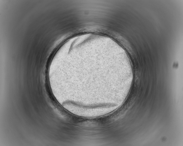 X0000100960578200807221147